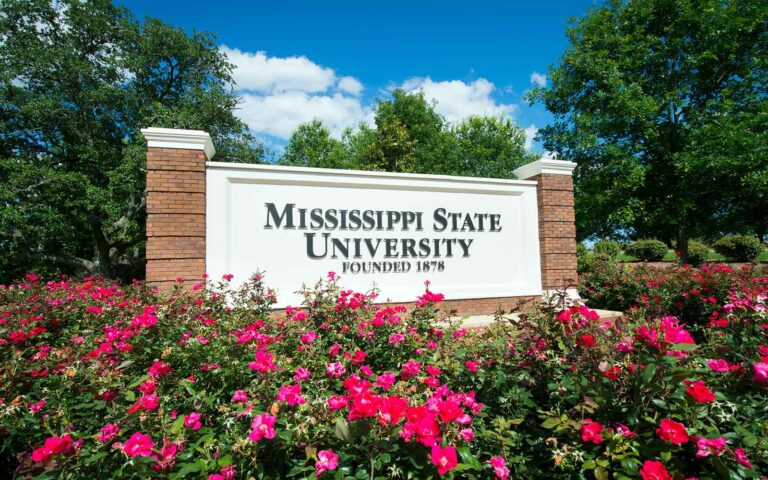 Mississippi State University Scholarship for International Students