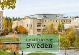Umeå University PhD Scholarship for Top Candidates