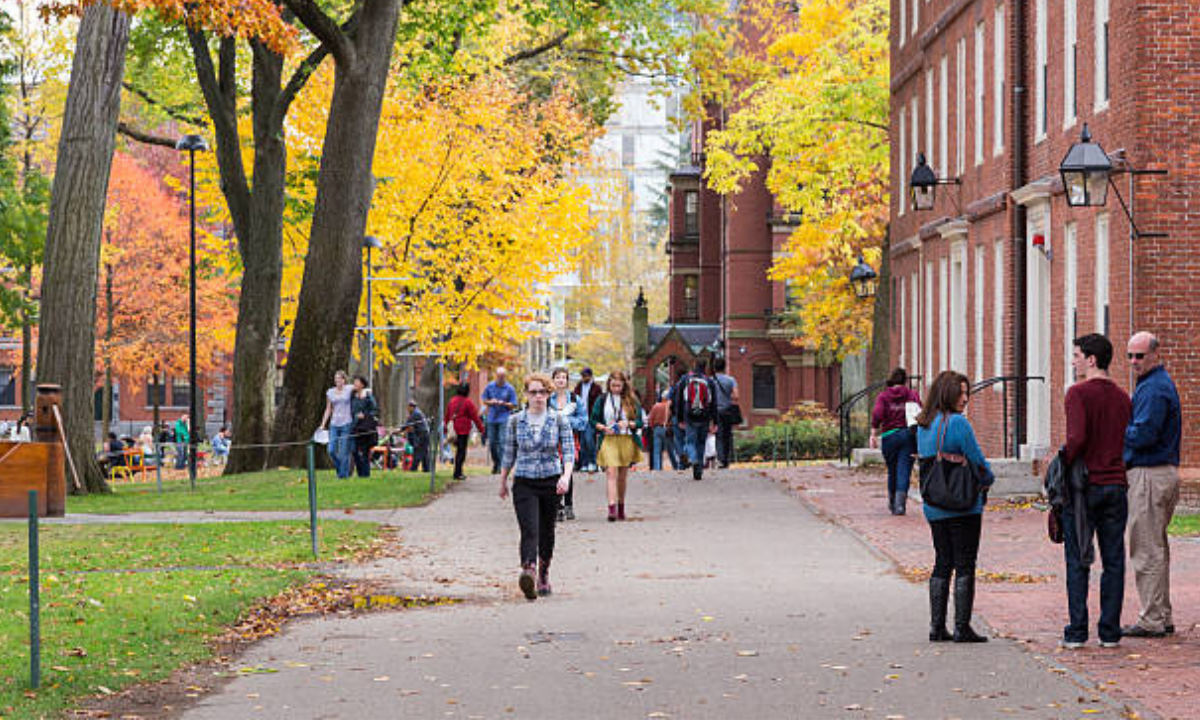 Harvard summer programs for high school students